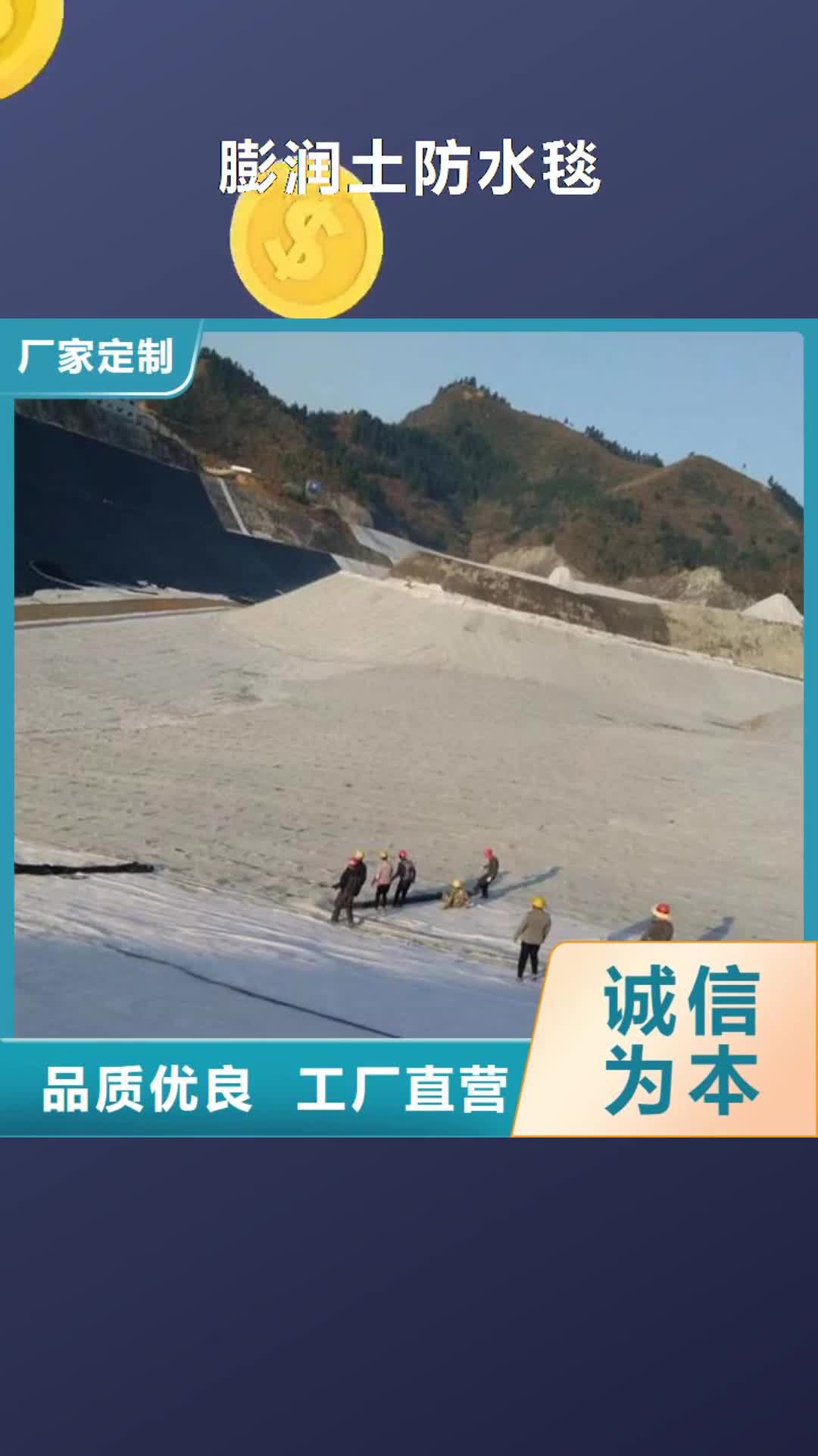 许昌【膨润土防水毯】-钢塑土工格栅免费安装