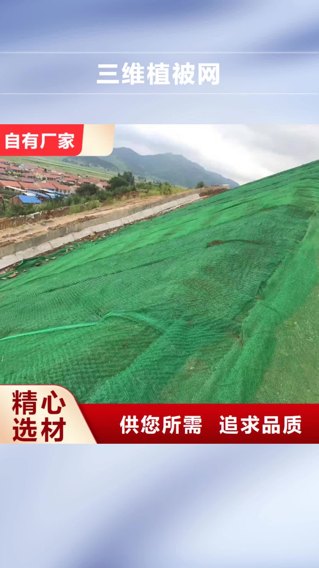 铜陵 三维植被网_【塑料土工格栅】品质卓越