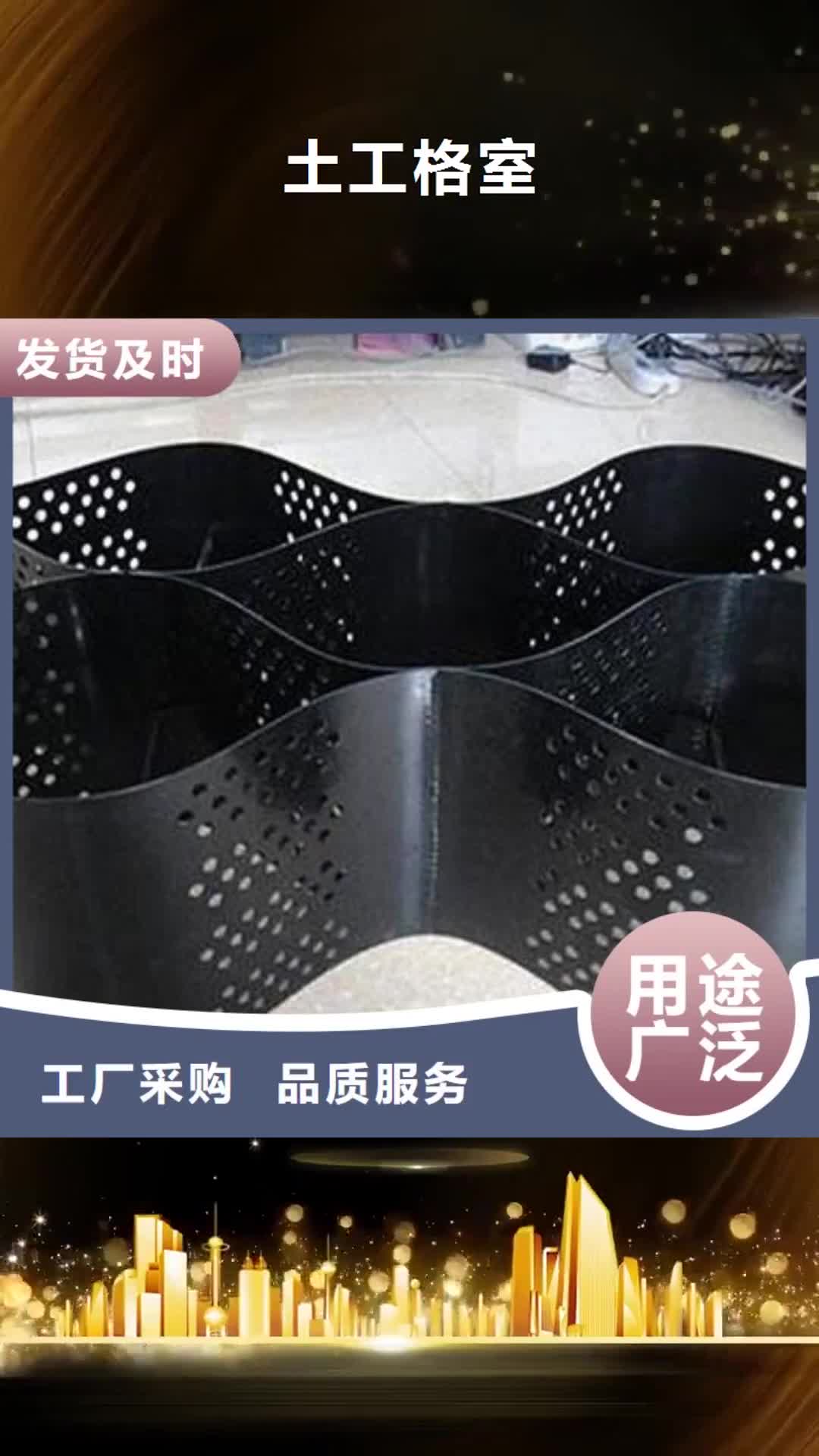 衡水【土工格室】钢塑土工格栅生产加工