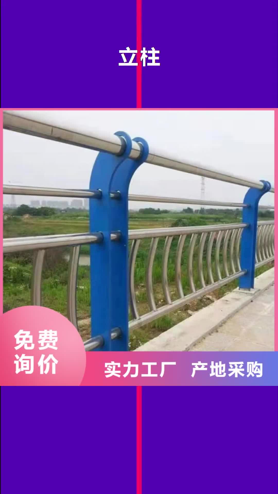 【九江 立柱_道路防撞护栏今日新品】