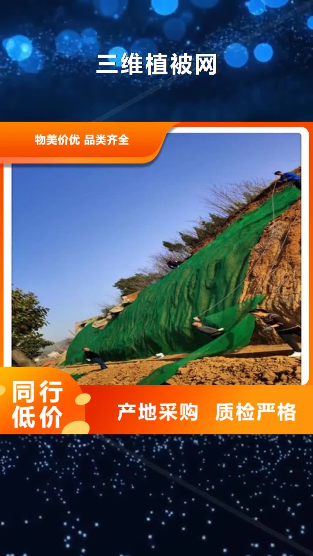 嘉峪关【三维植被网】_土工膜价格实惠工厂直供