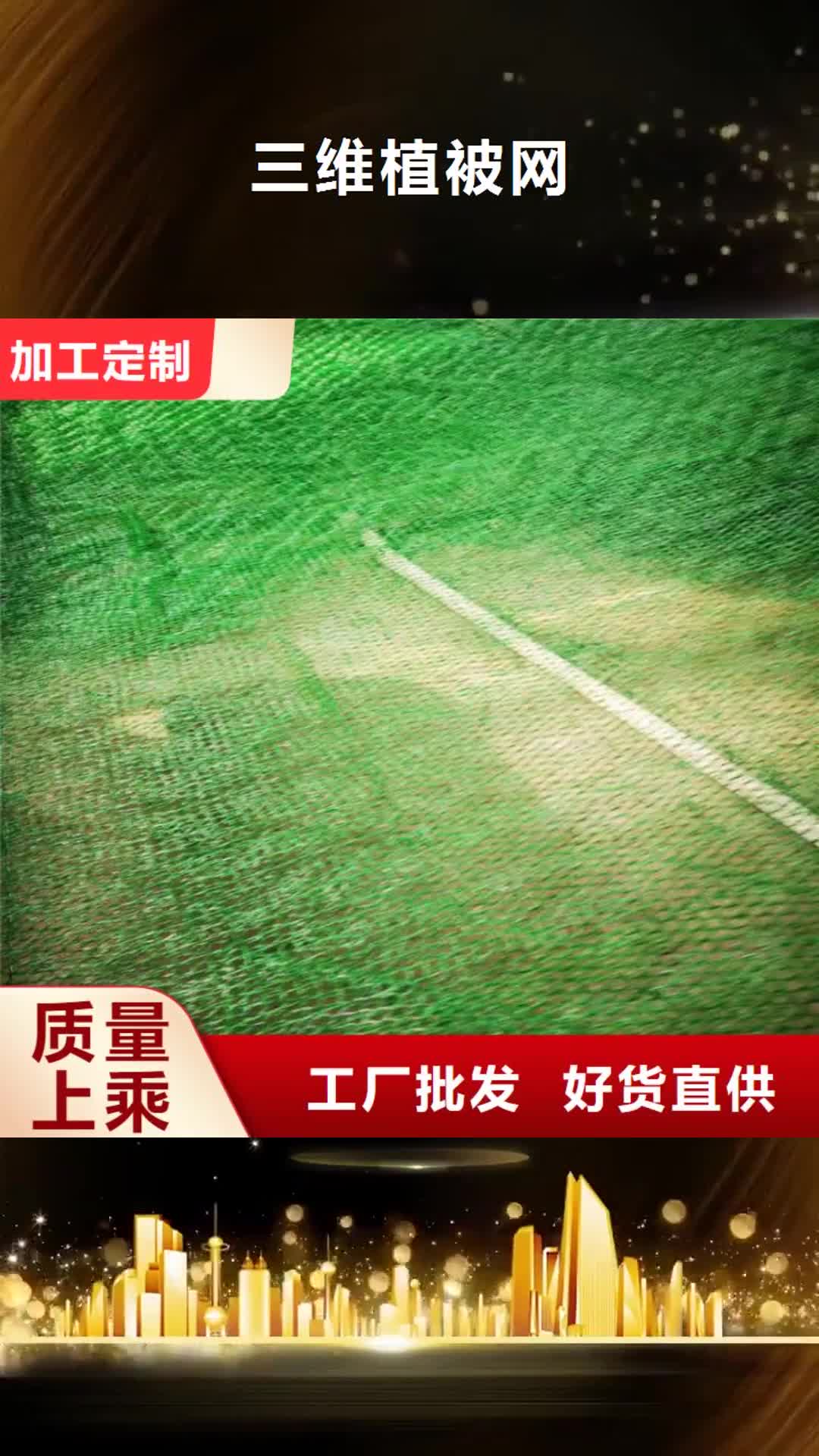 【新乡 三维植被网,土工膜一站式供应厂家】