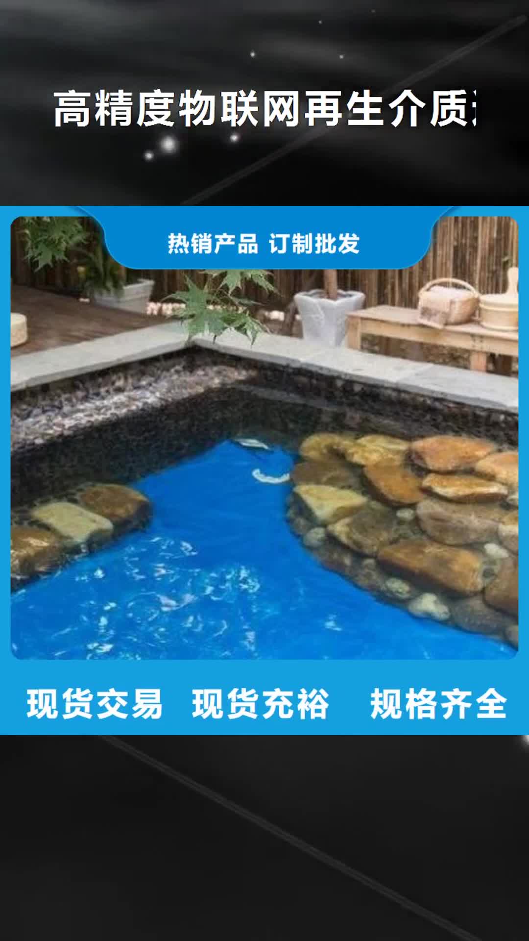 【柳州 高精度物联网再生介质过滤器,室外水上乐园设备专注质量】