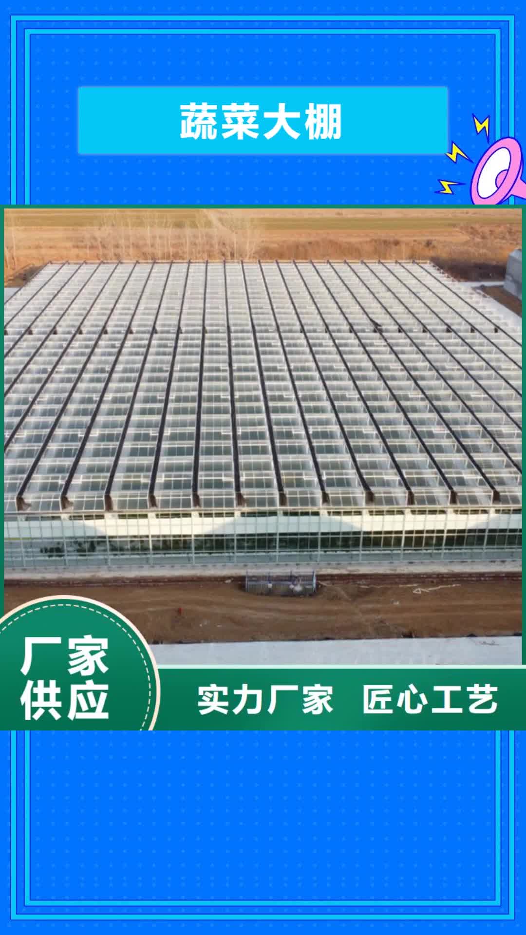 【海南蔬菜大棚_大棚卡槽安装实力商家供货稳定】